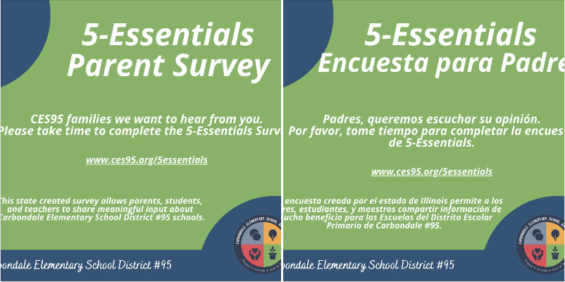 5 essentials survey